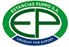 Estancias Puppo